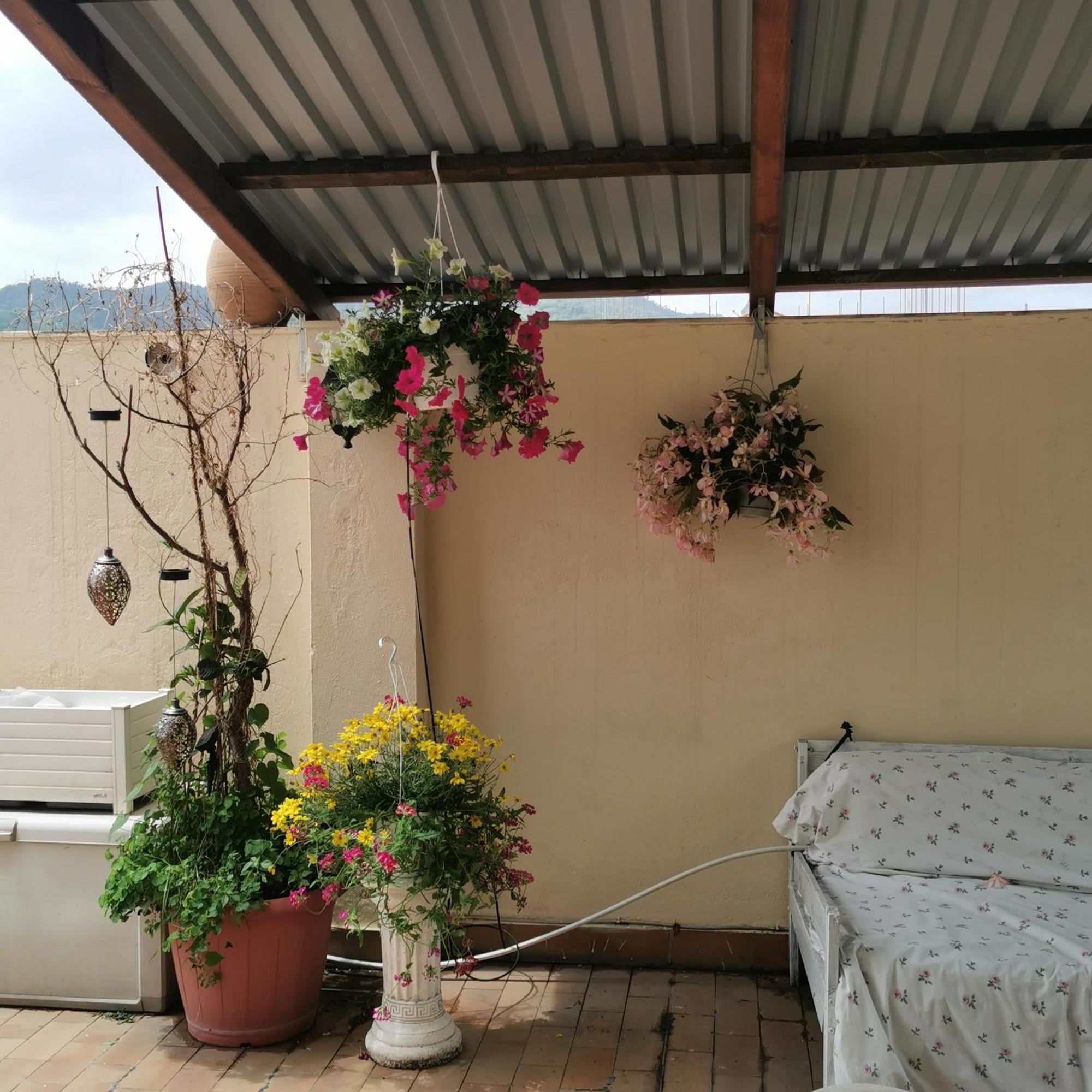 Albisola Bed And Breakfast 아비솔라 수페리오레 외부 사진
